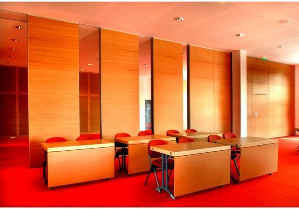 Lyon  Cit&eacute; Internationale "Salle 3000" (2006)_2