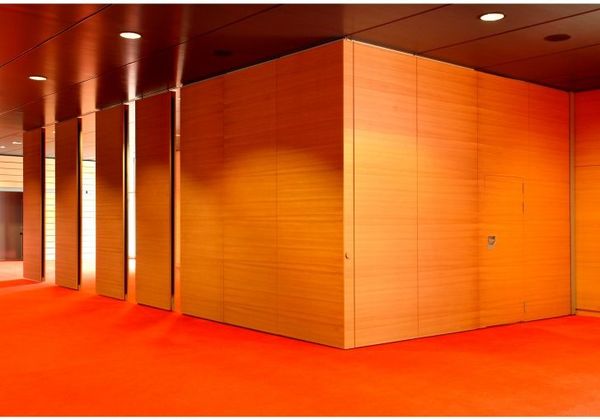 Lyon  Cit&eacute; Internationale "Salle 3000" (2006)_3