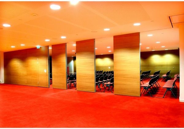 Lyon  Cit&eacute; Internationale "Salle 3000" (2006)_4