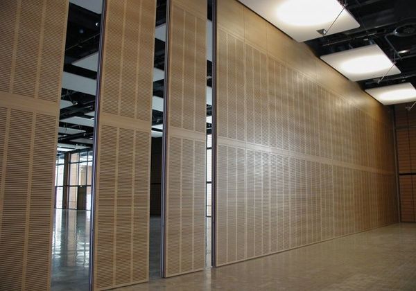 Lyon  Cit&eacute; Internationale "Salle 3000" (2006)_6