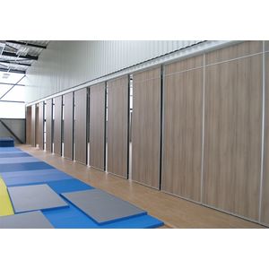 Tossiat Salle des Sports (2014)_2